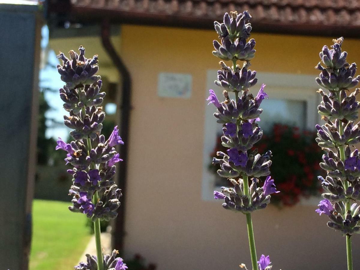Liliána Venkovský dům Balatonberény